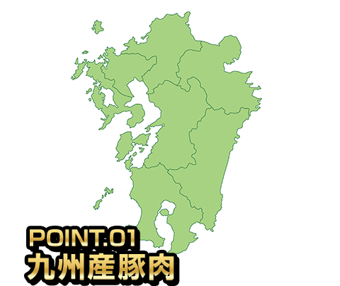 九州産豚肉