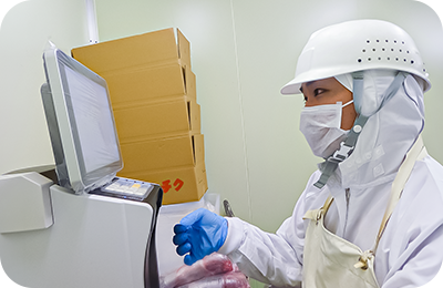 作業中の様子