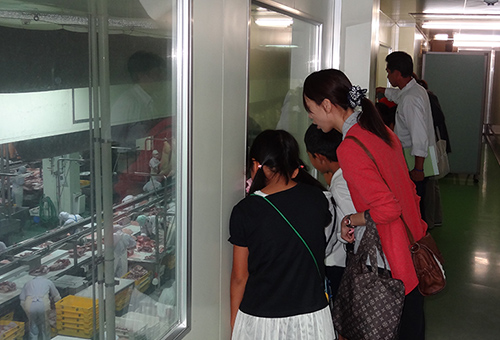 通路より見学の様子