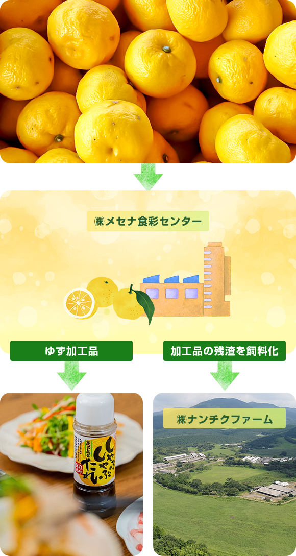 ゆず加工品と加工品の残渣を飼料化する流れ