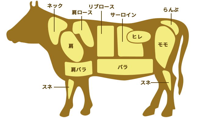 牛肉の部位