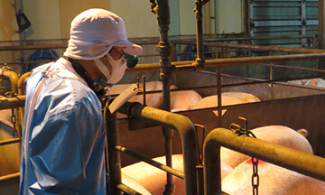 工場マップ 株式会社ナンチク