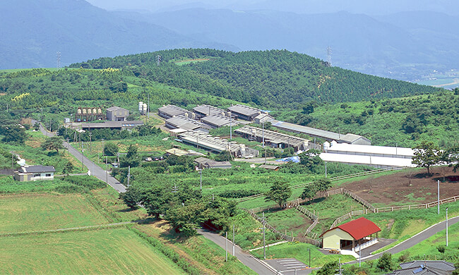 農場