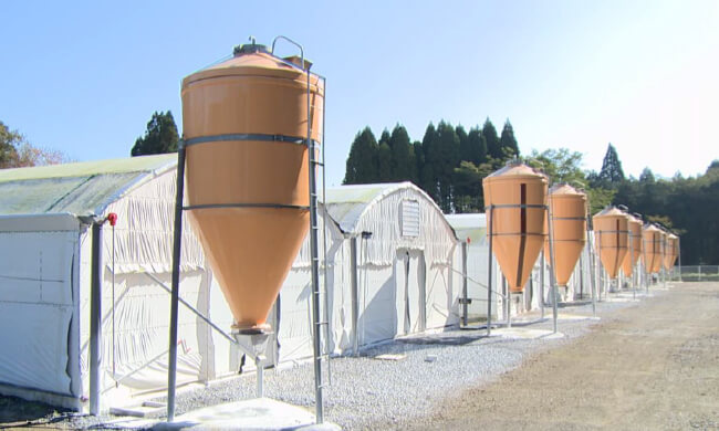 遮光性の優れた特殊なシートで覆われた鶏舎